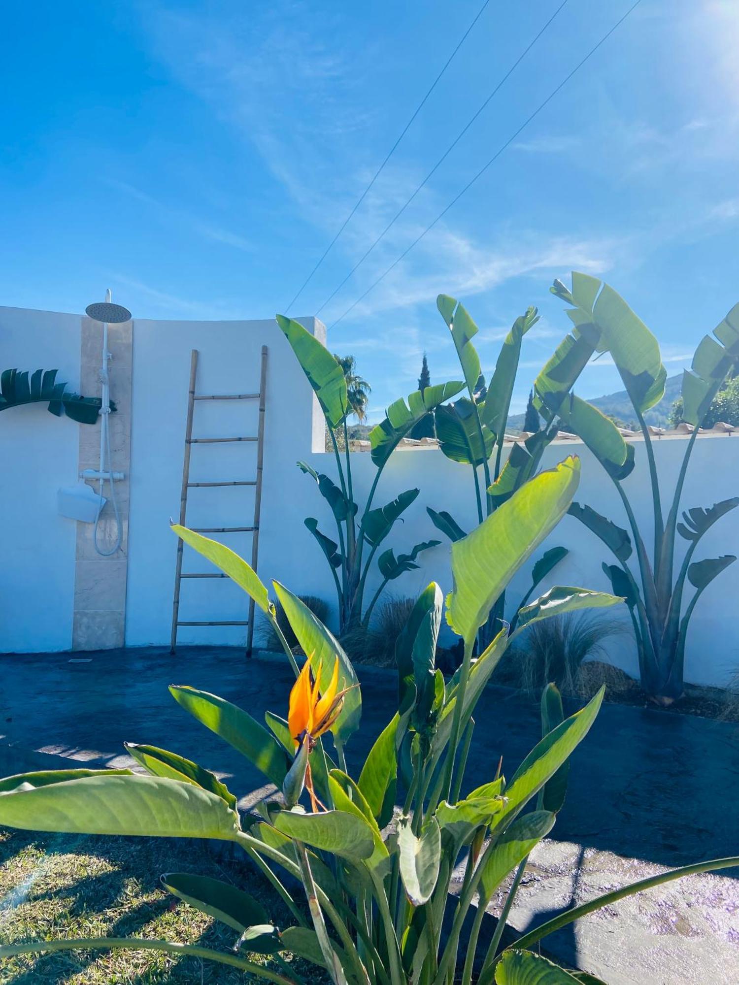 Casa Avellana Villa Denia Exterior foto